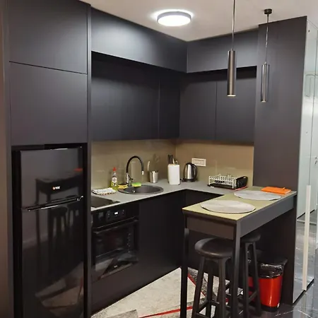 Apartment One Bedroom In Center